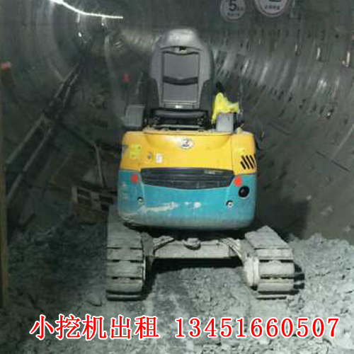 微型小挖機租賃的應(yīng)用廣泛，今天帶大家來了解一下！(圖1)